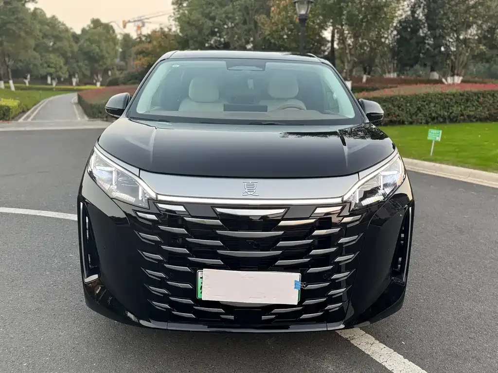 BYD Xia 2025 из CN, фото 2