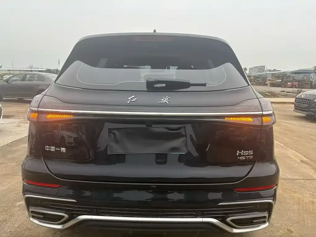 Hongqi HS5 2025 из CN, фото 8