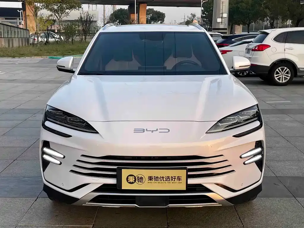 BYD PLUS New Energy 2023 из CN, фото 2