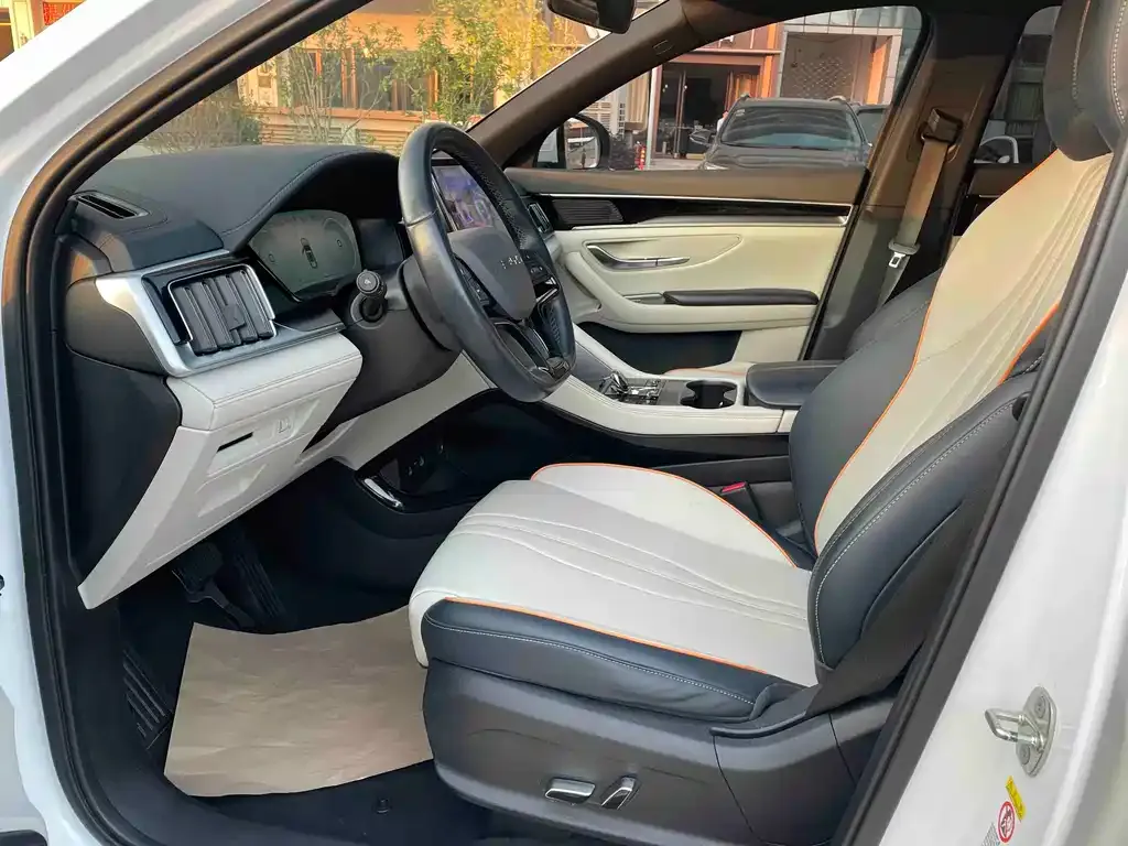 BYD PLUS New Energy 2023 из CN, фото 4