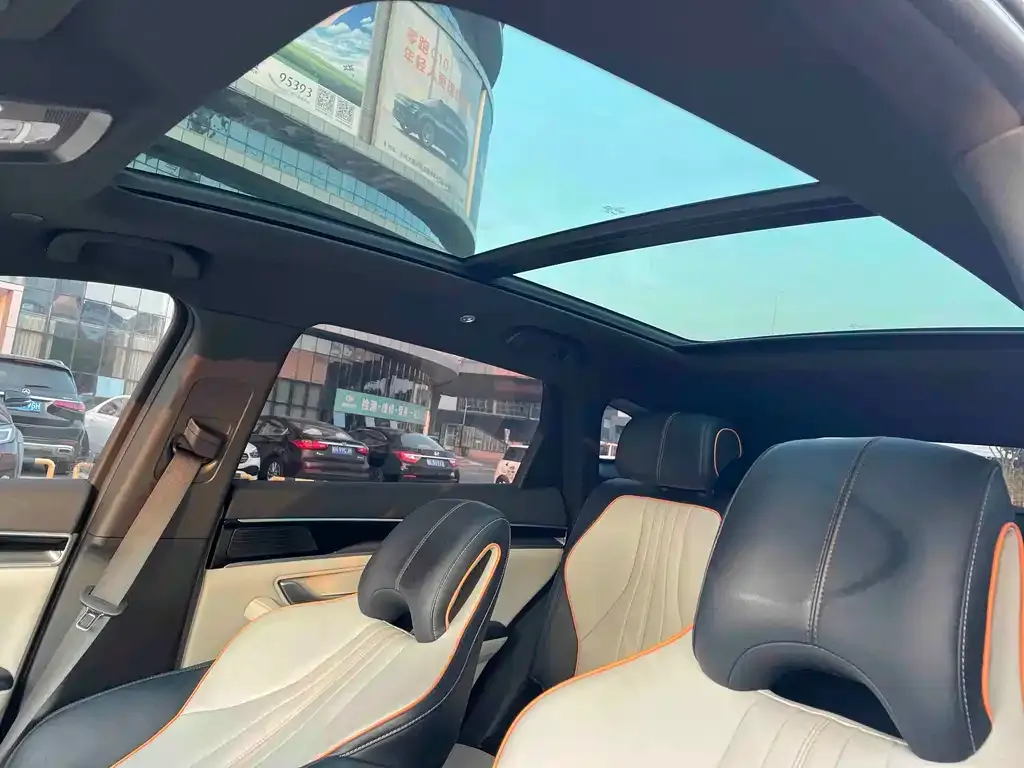 BYD PLUS New Energy 2023 из CN, фото 9