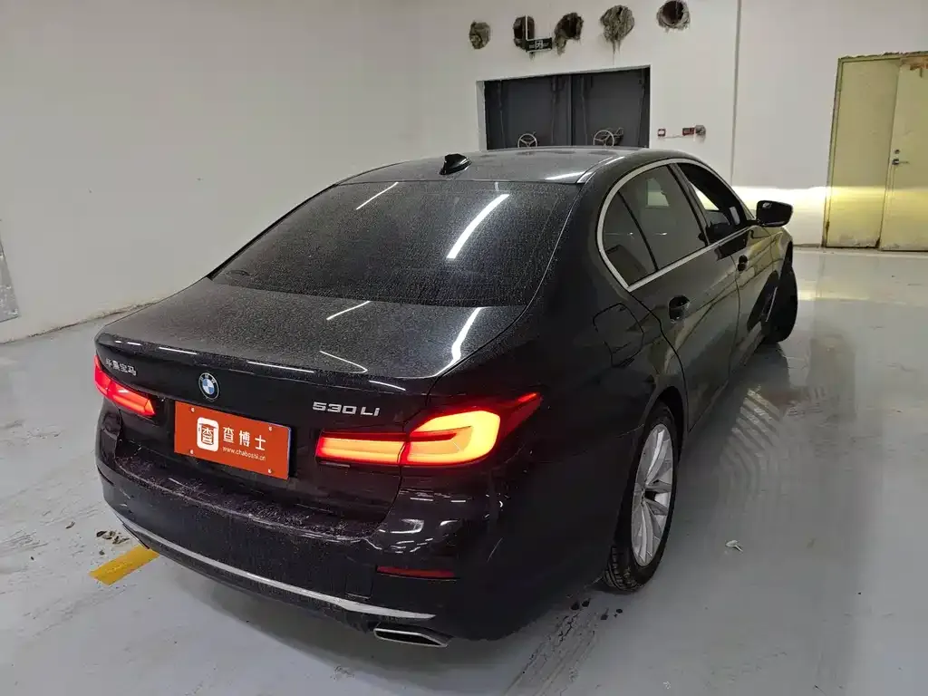 BMW 5 Series 2021 из CN, фото 2