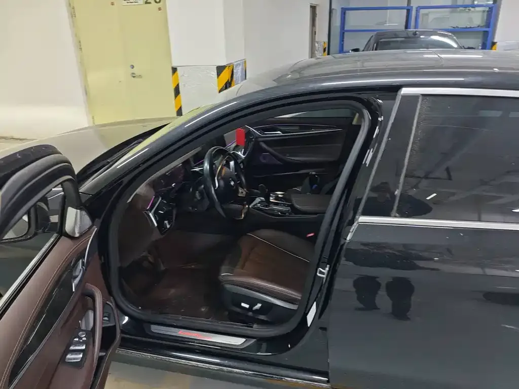 BMW 5 Series 2021 из CN, фото 3