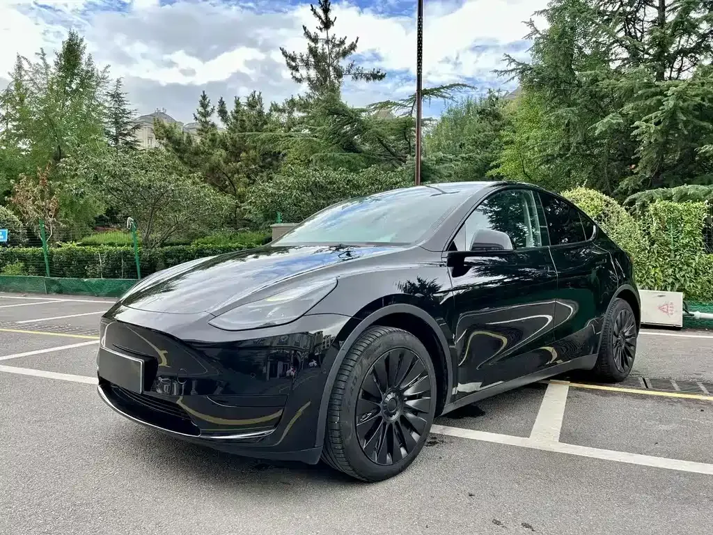 Tesla Model Y 2022 из CN, фото 1