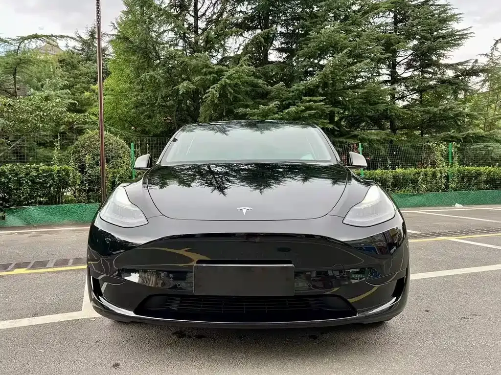 Tesla Model Y 2022 из CN, фото 2