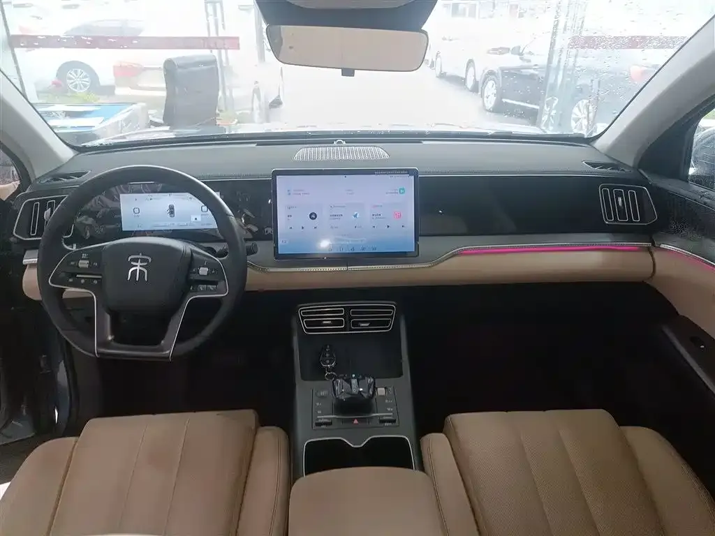 BYD Pro New Energy 2024 из CN, фото 10
