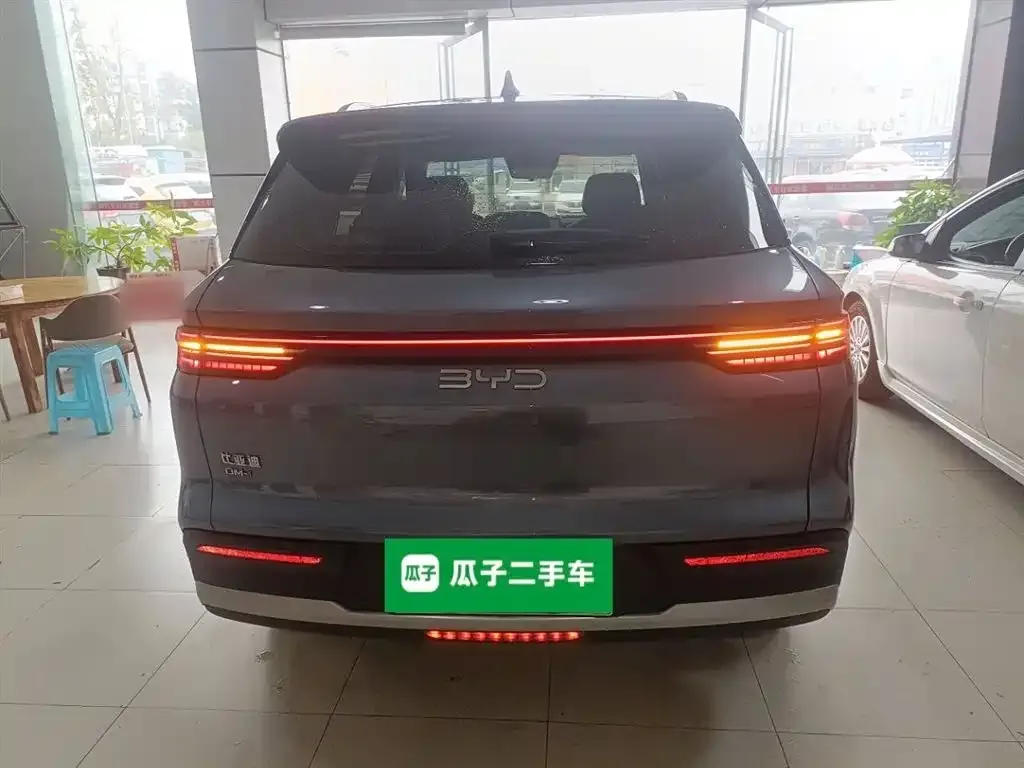 BYD Pro New Energy 2024 из CN, фото 6
