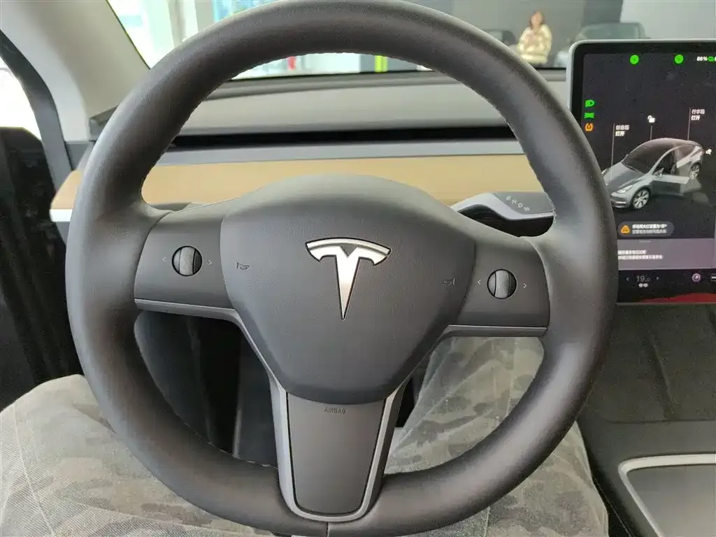 Tesla Model Y 2021 из CN, фото 3