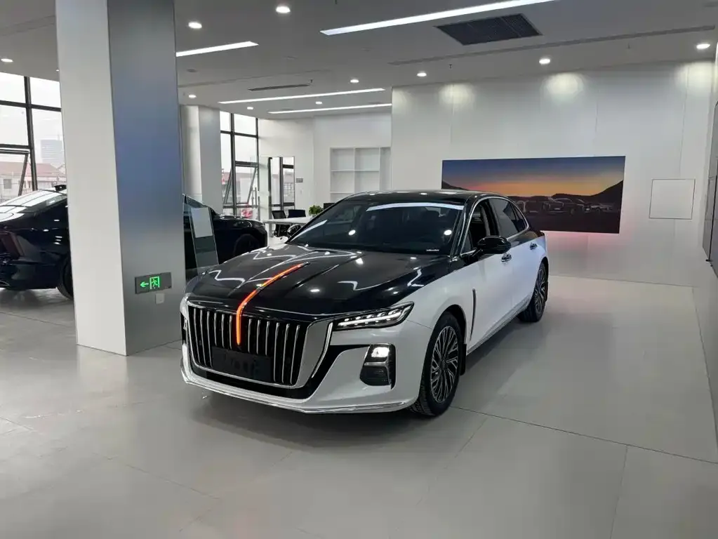 Hongqi H5 2024 из CN, фото 1