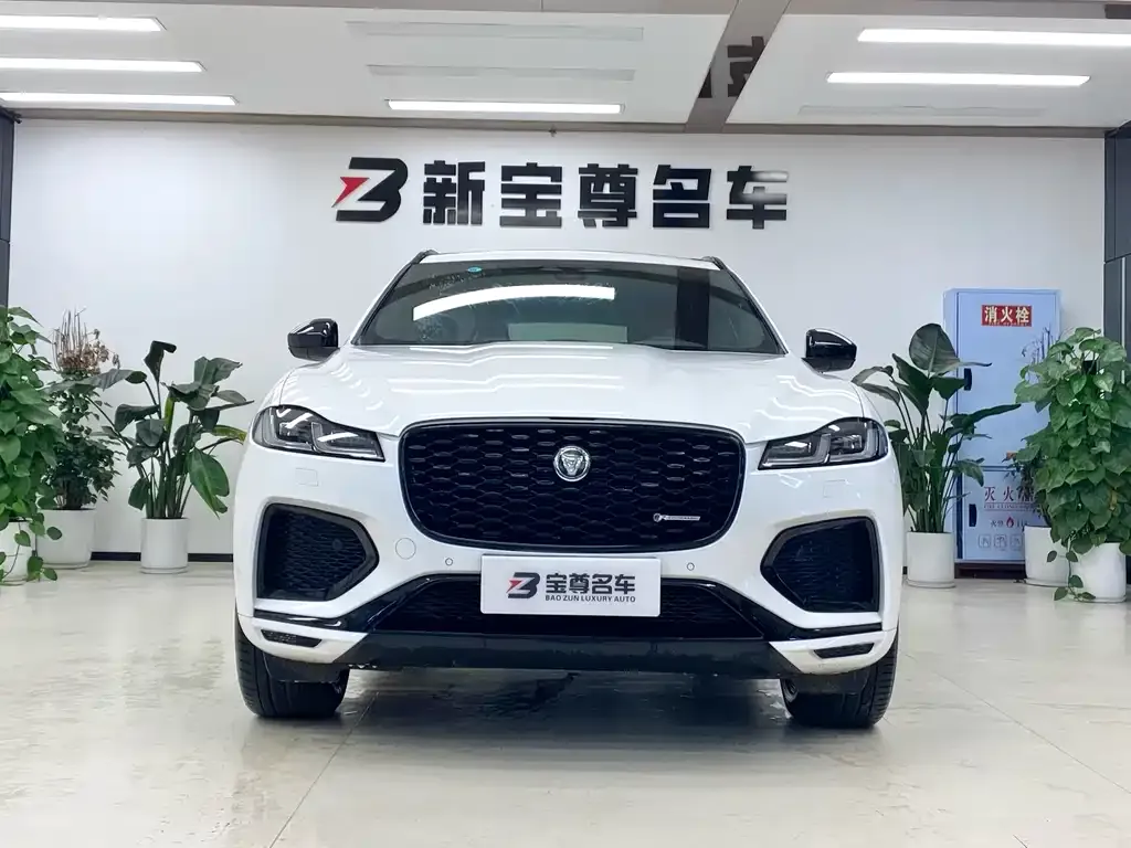 Jaguar F-PACE 2024 из CN, фото 2