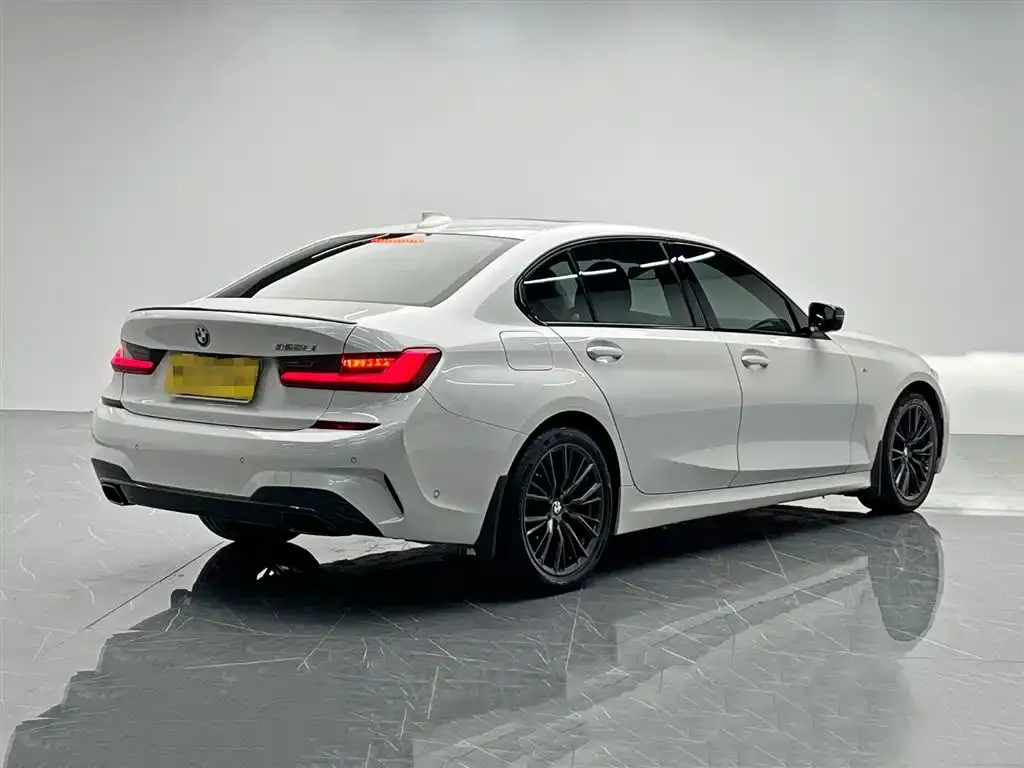 BMW 3 Series 2021 из CN, фото 6