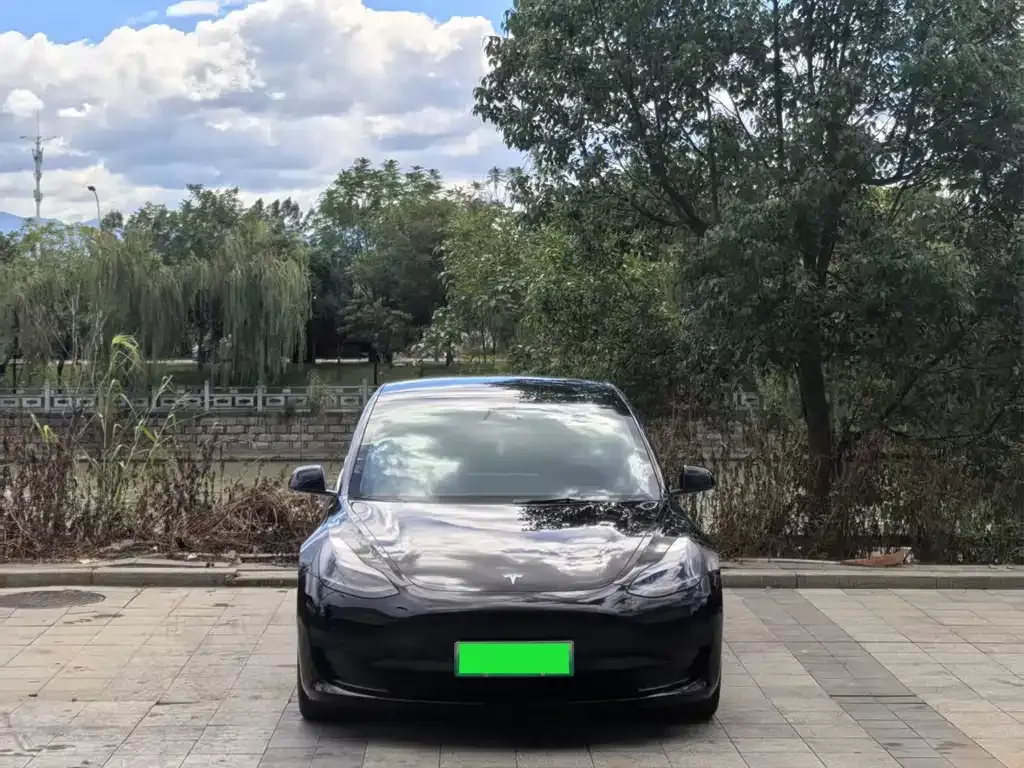 Tesla Model 3 2021 из CN, фото 1