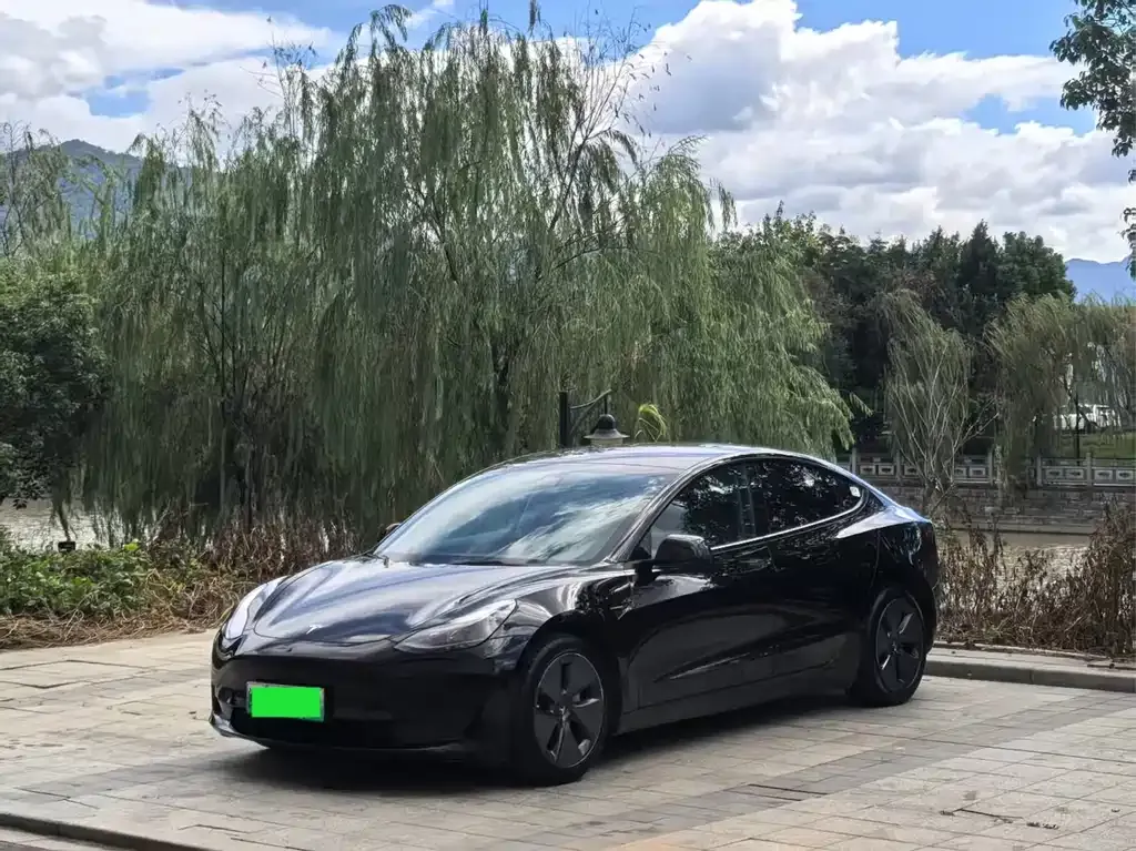 Tesla Model 3 2021 из CN, фото 2