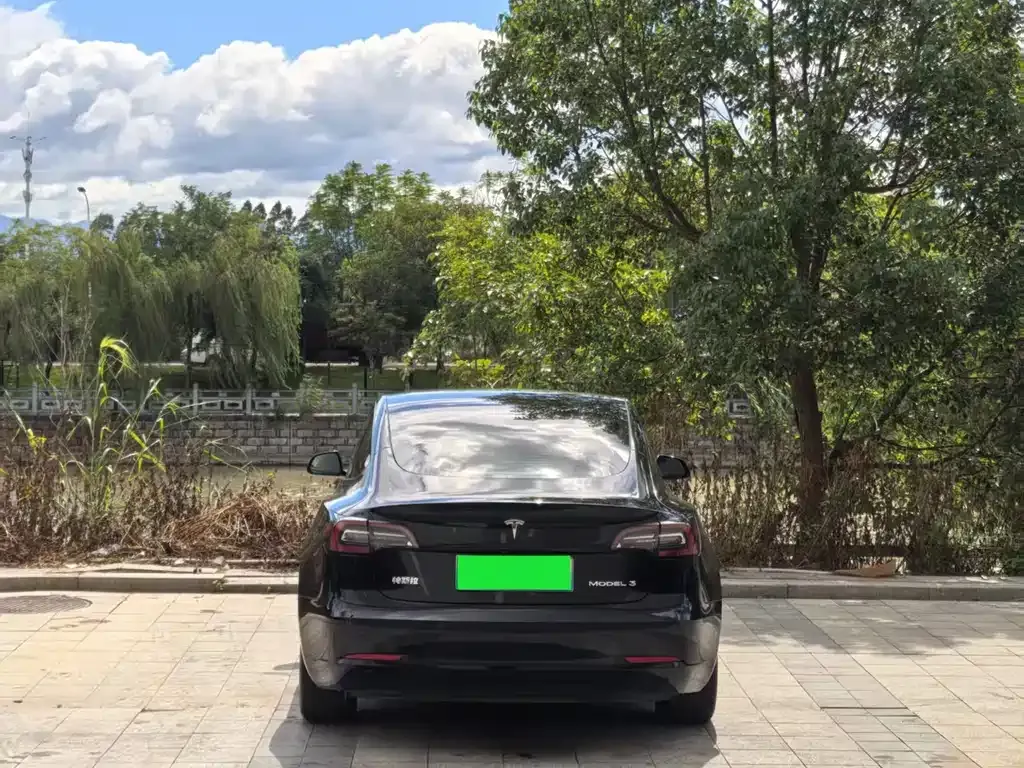 Tesla Model 3 2021 из CN, фото 3