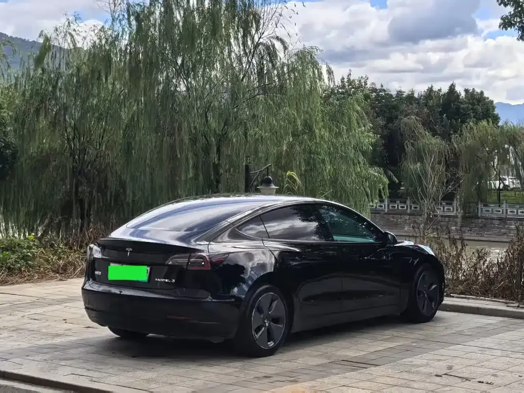 Tesla Model 3 2021 из CN, фото 4