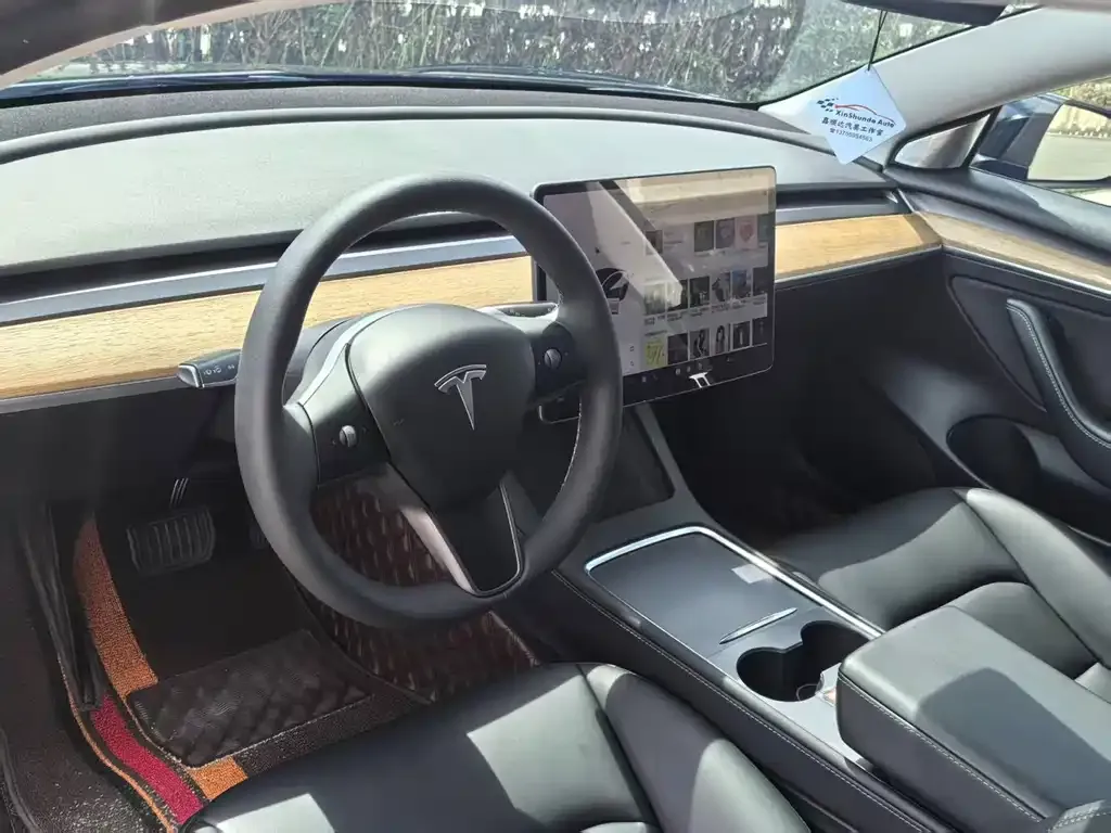 Tesla Model 3 2021 из CN, фото 5