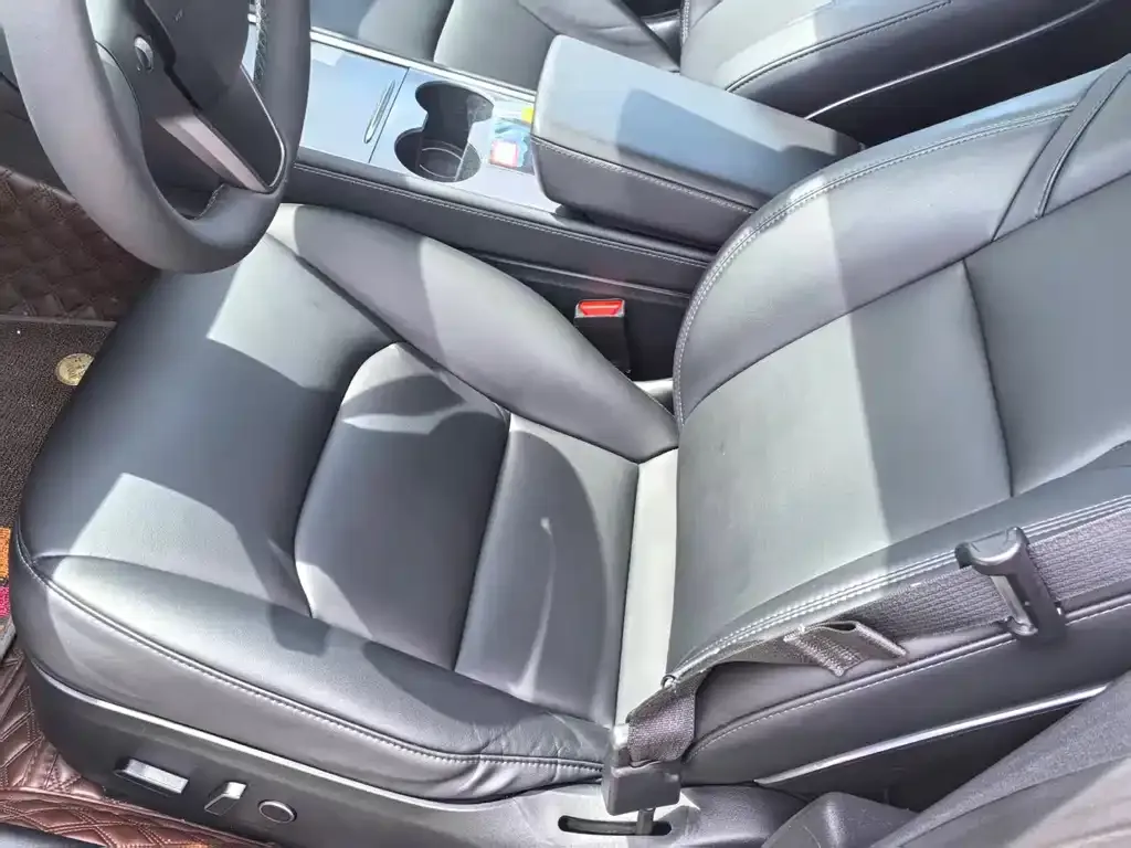 Tesla Model 3 2021 из CN, фото 6