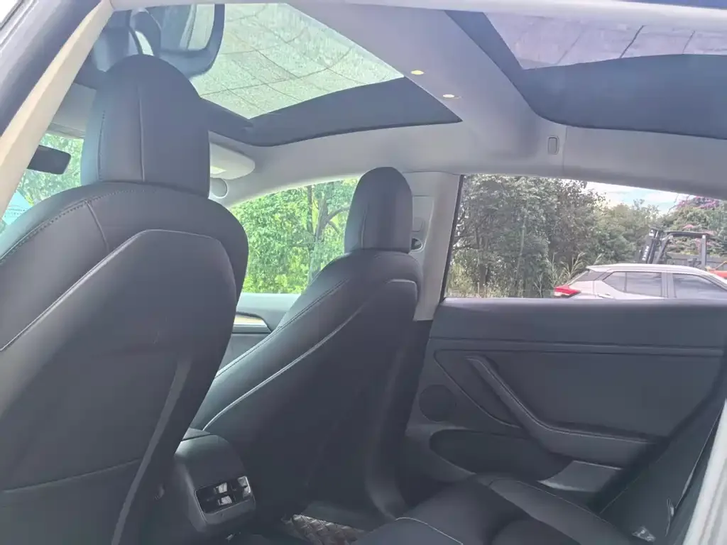 Tesla Model 3 2021 из CN, фото 9