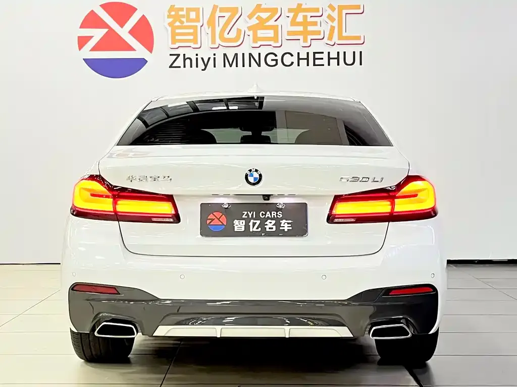 BMW 5 Series 2023 из CN, фото 6
