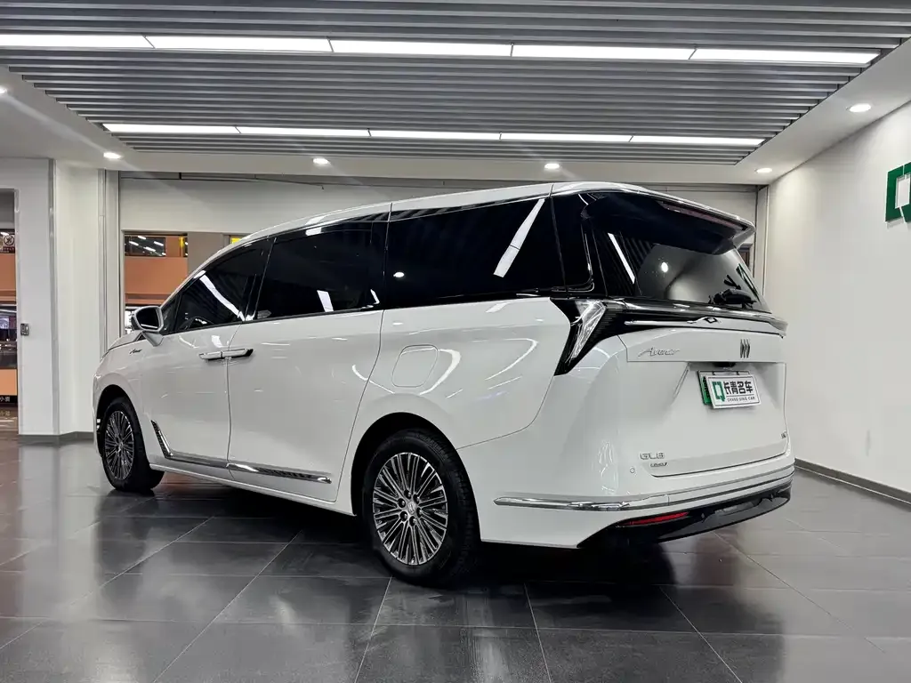 Buick GL8 Hybrid 2024 из CN, фото 5