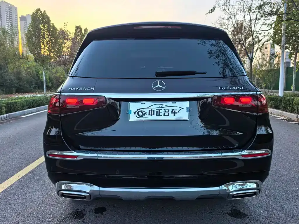 Mercedes-Benz GLS 2024 из CN, фото 5