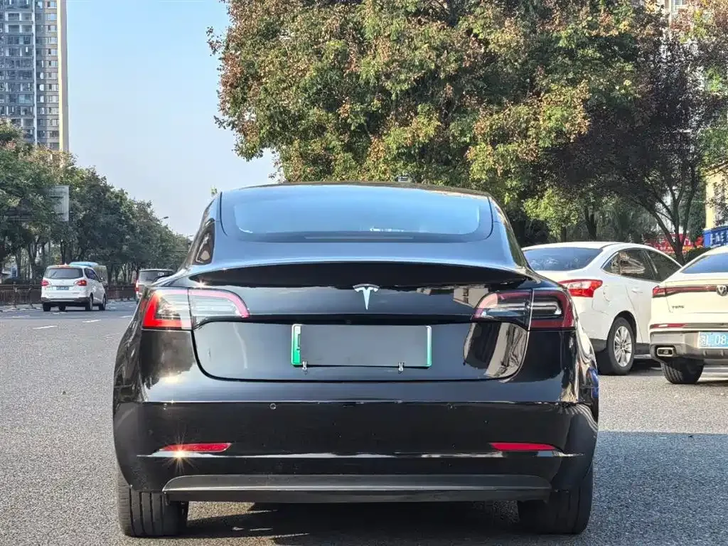 Tesla Model 3 2022 из CN, фото 5