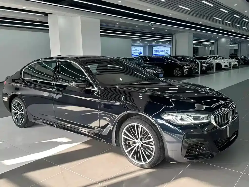 BMW 5 Series 2022 из CN, фото 2