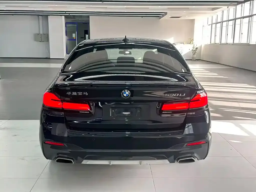 BMW 5 Series 2022 из CN, фото 4