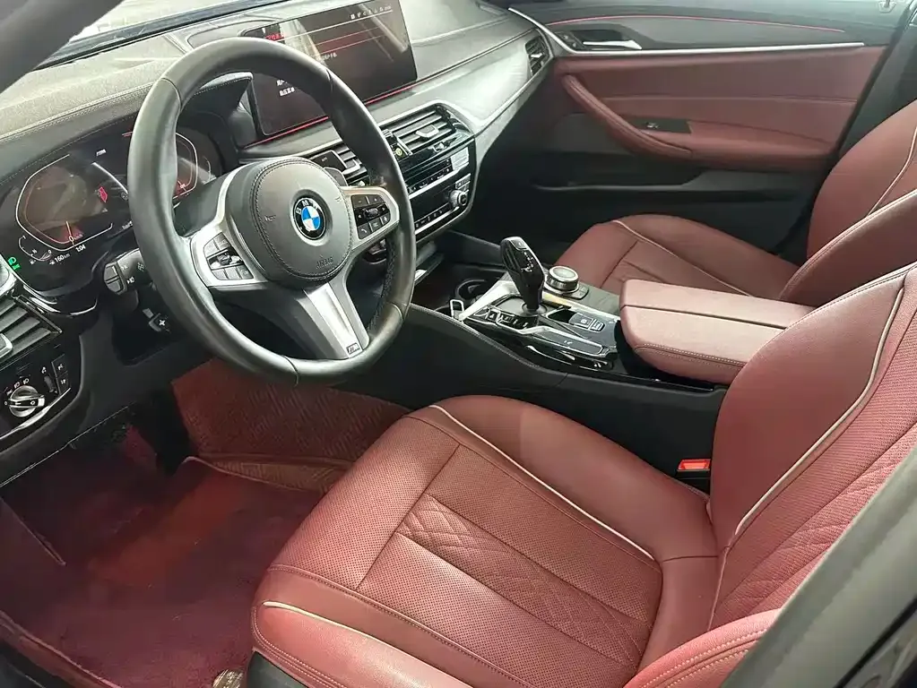 BMW 5 Series 2022 из CN, фото 5