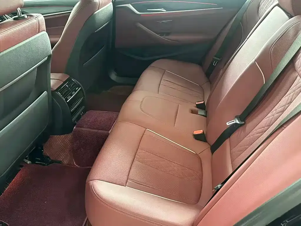 BMW 5 Series 2022 из CN, фото 6