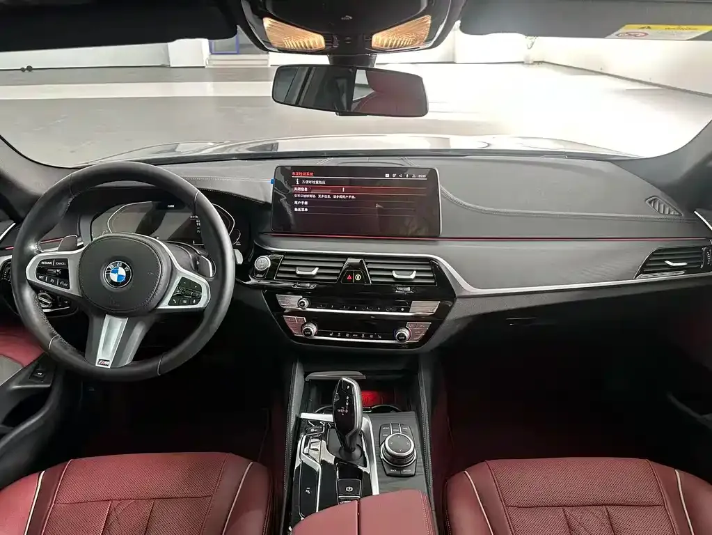 BMW 5 Series 2022 из CN, фото 7