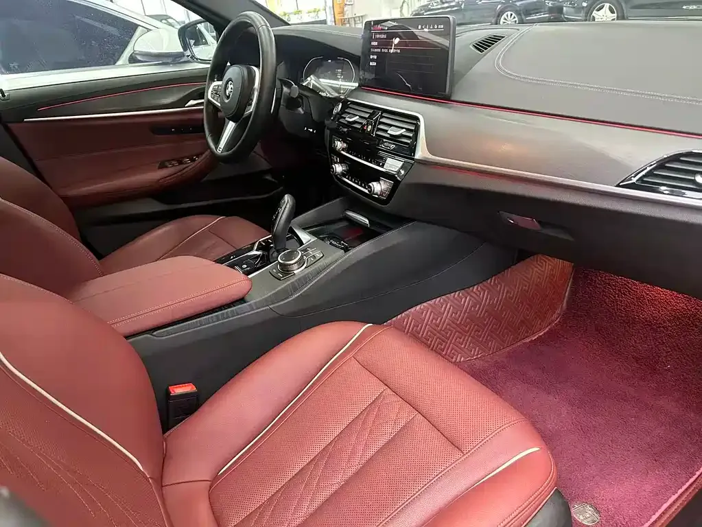 BMW 5 Series 2022 из CN, фото 8