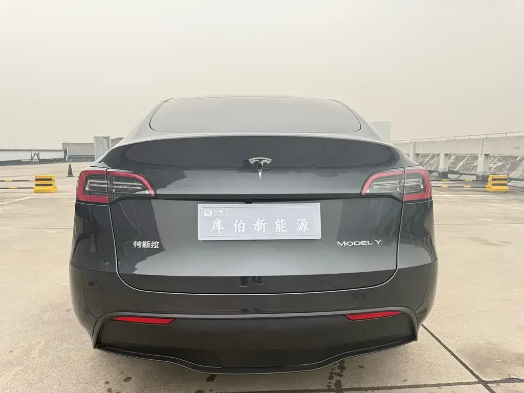 Tesla Model Y 2024 из CN, фото 6