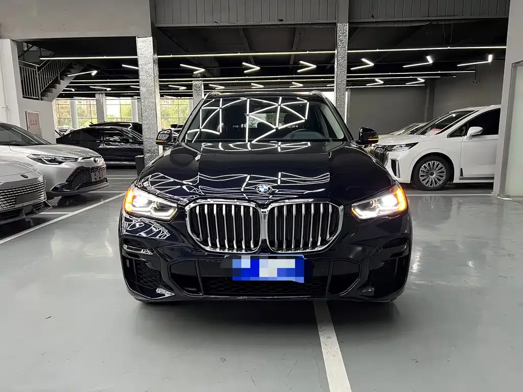 BMW X5 (Import) 2021 из CN, фото 2