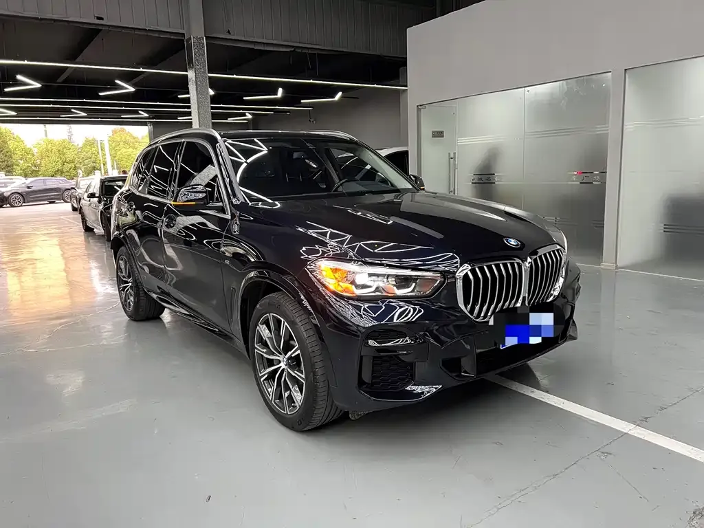 BMW X5 (Import) 2021 из CN, фото 3