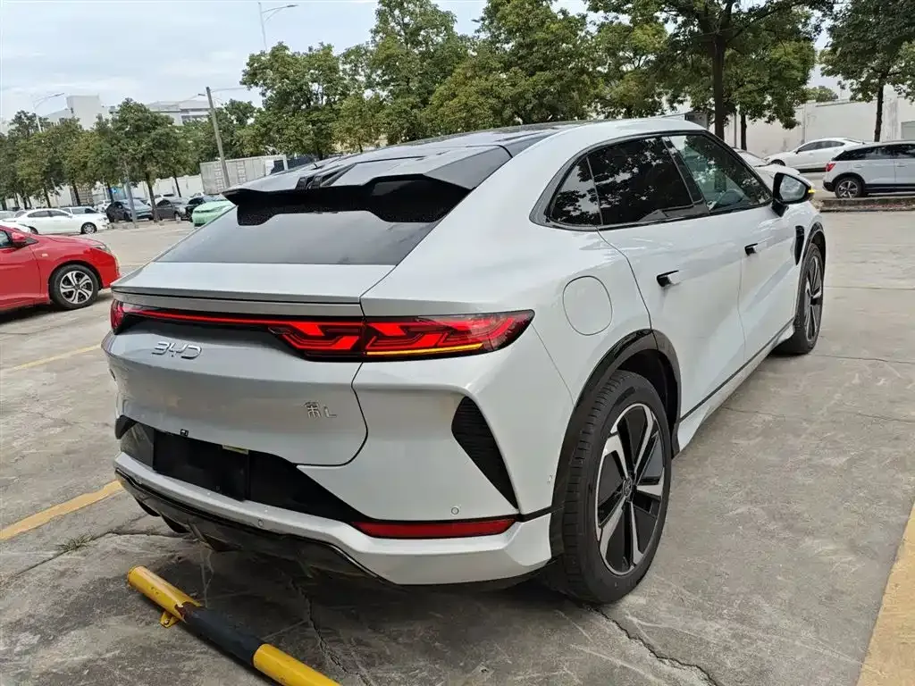 BYD L EV 2024 из CN, фото 7