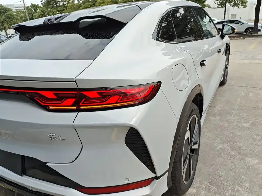 BYD L EV 2024 из CN, фото 8
