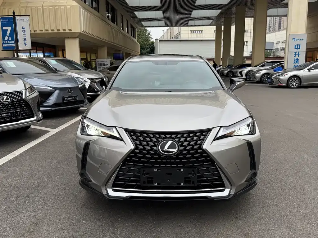Lexus UX 2021 из CN, фото 2