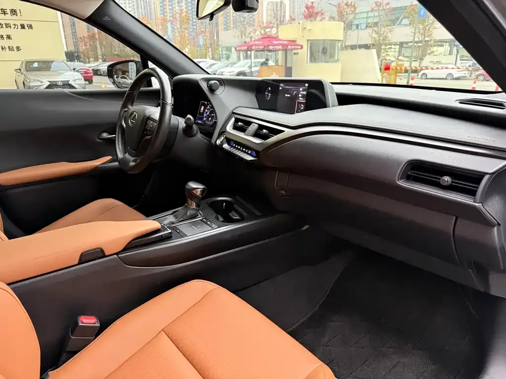 Lexus UX 2021 из CN, фото 4