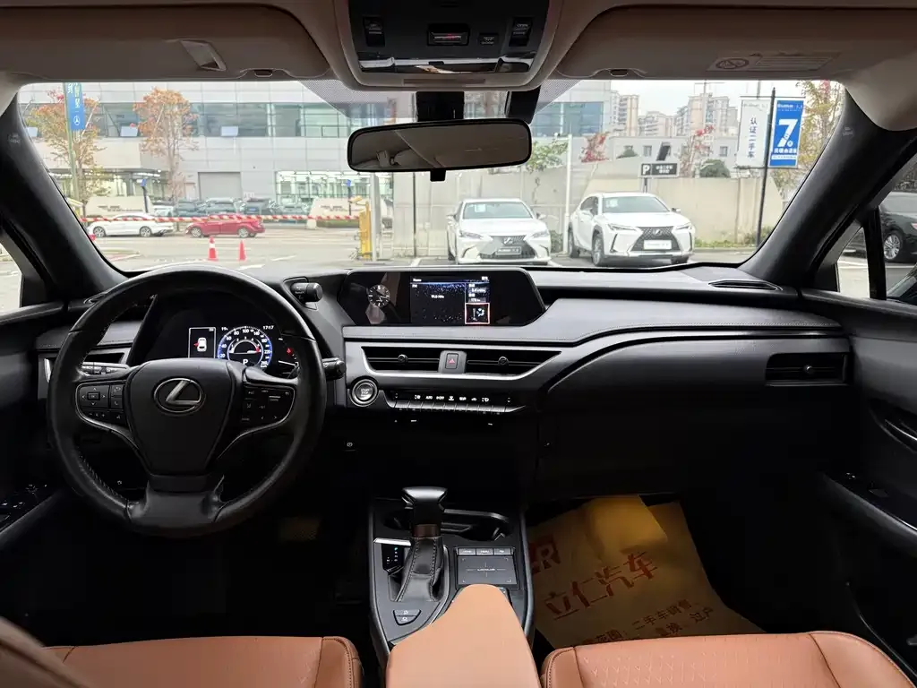 Lexus UX 2021 из CN, фото 5