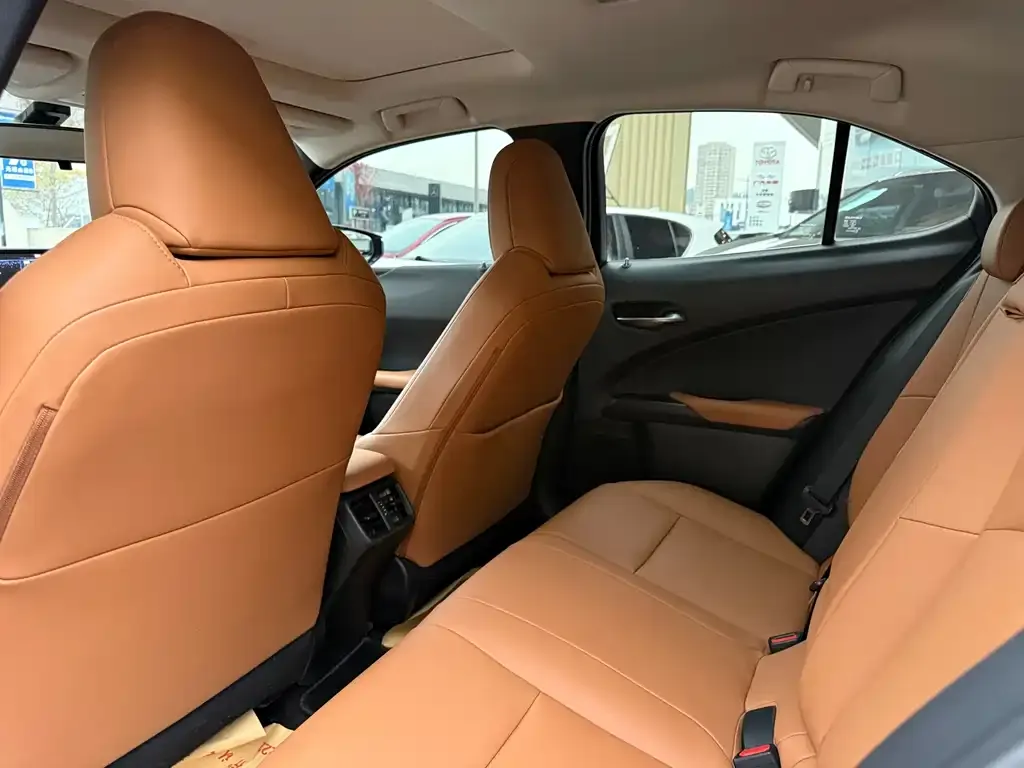 Lexus UX 2021 из CN, фото 6