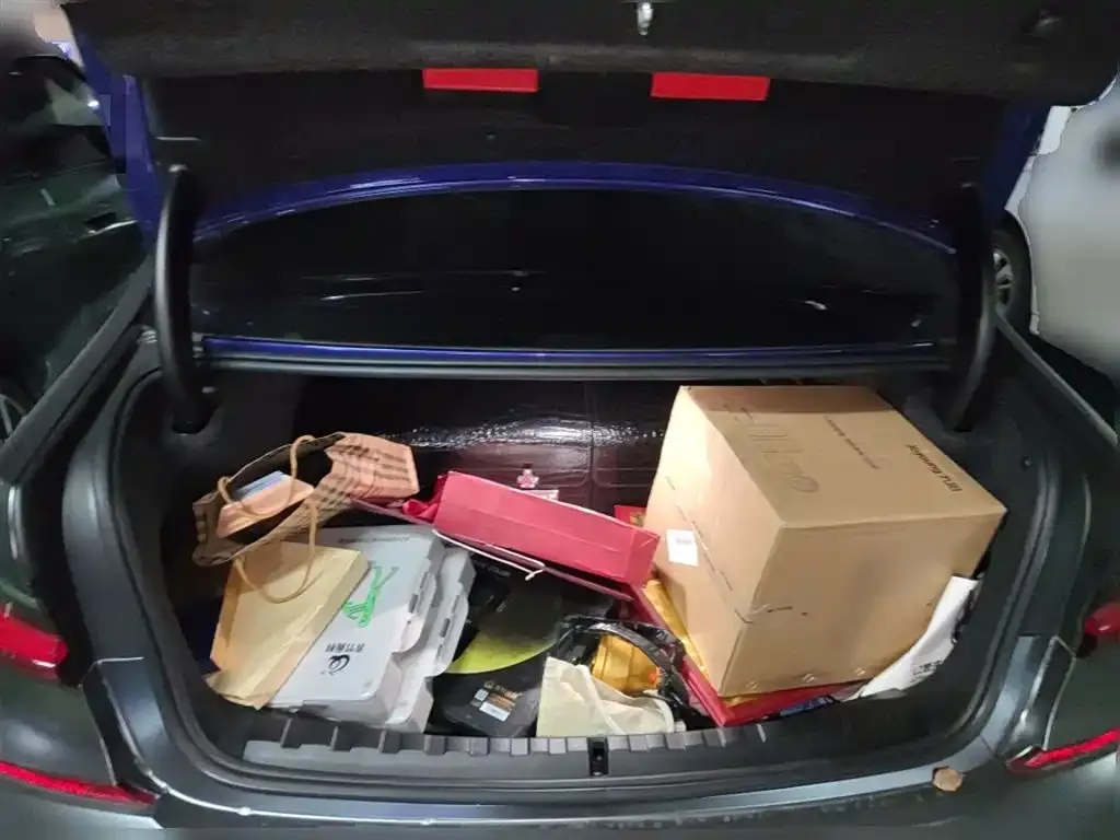BMW 3 Series 2021 из CN, фото 10