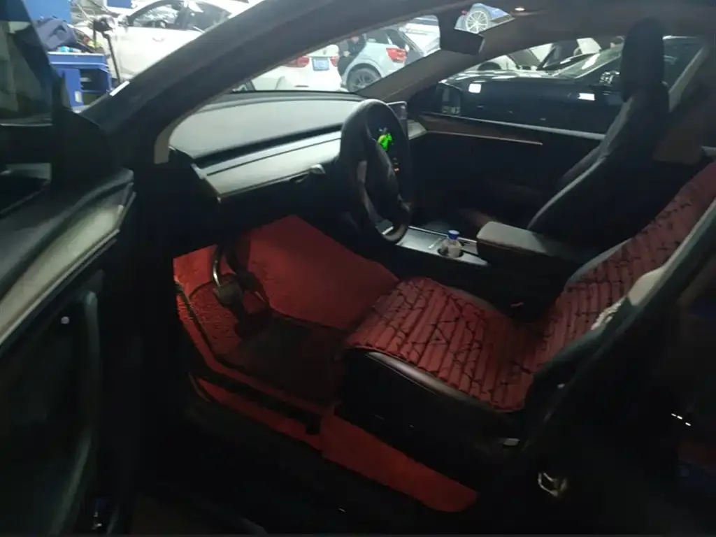 [object Object] Model Y 2022 из CN, фото 8