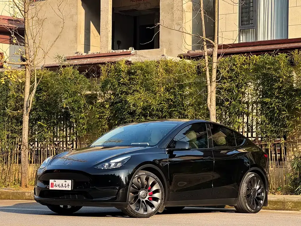 Tesla Model Y 2023 из CN, фото 1