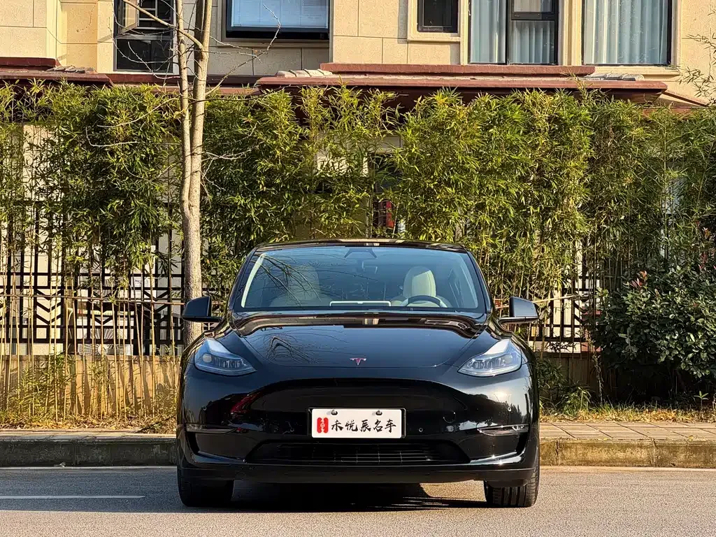 Tesla Model Y 2023 из CN, фото 2