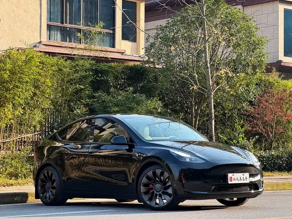 Tesla Model Y 2023 из CN, фото 3