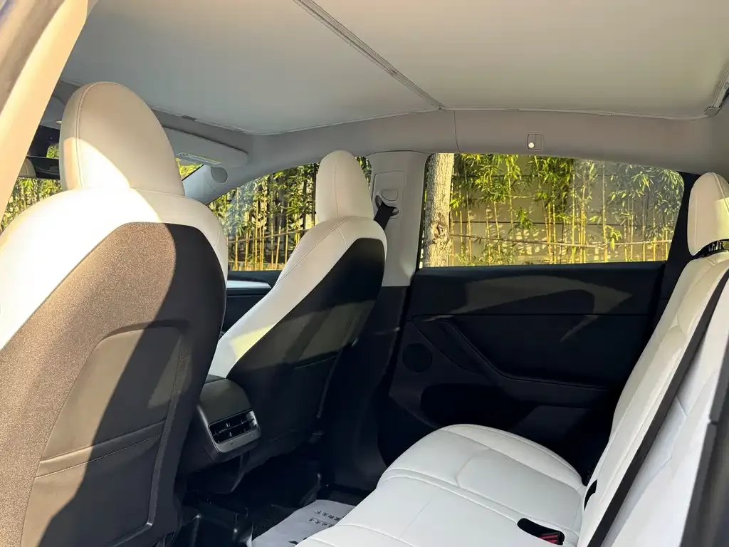 Tesla Model Y 2023 из CN, фото 8