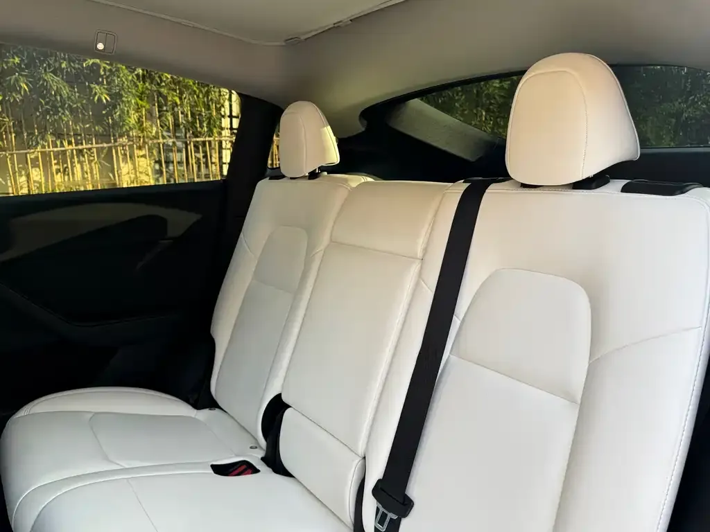 Tesla Model Y 2023 из CN, фото 9