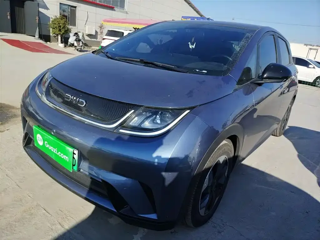 BYD Dolphin 2024 из CN, фото 1