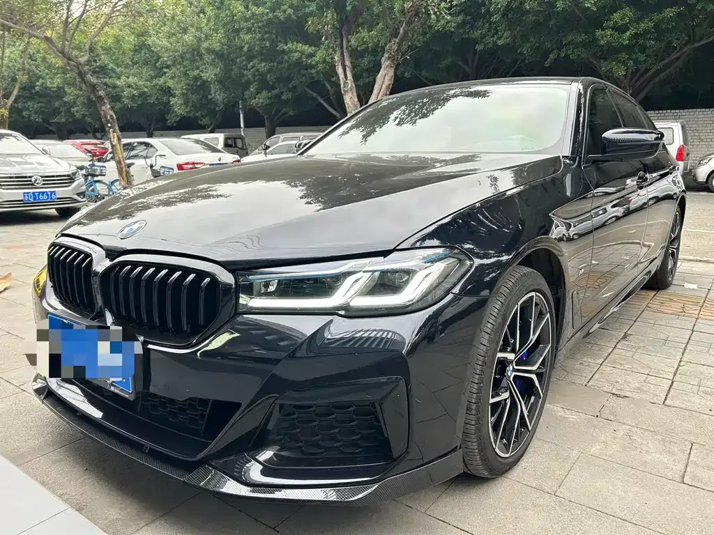 BMW 5 Series 2021 из CN, фото 1